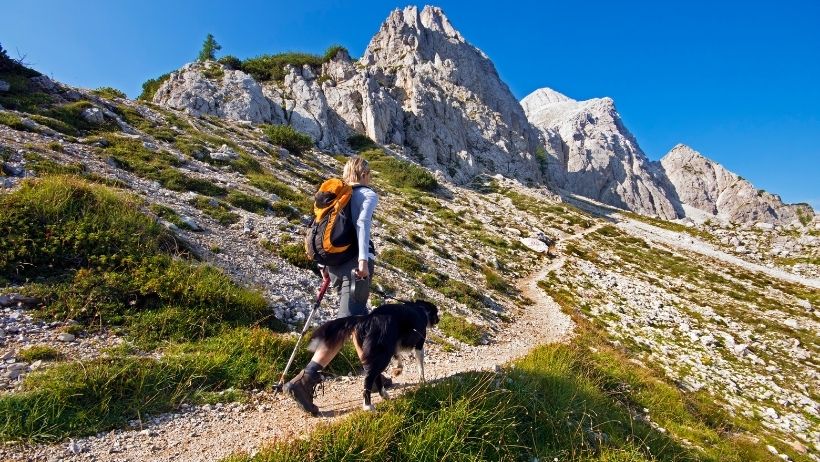 5 Important tips for hiking with your dog on holiday